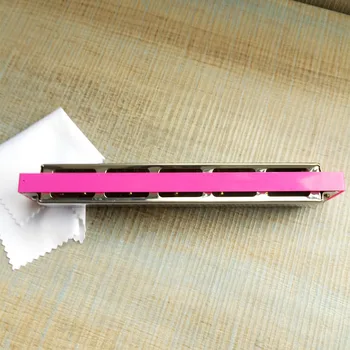 

24 Hole Tremolo C Tone Harmonica Beginners Adult Children Performance Begginners Harmonica