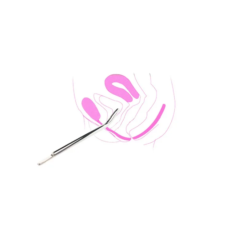 3876427481_647004353