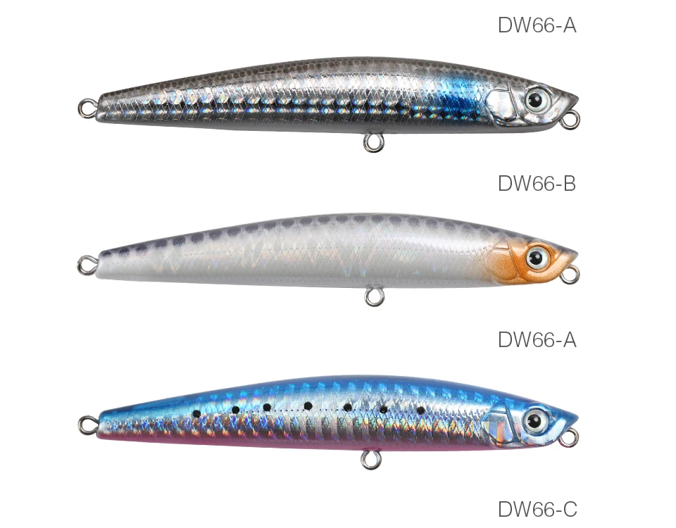 DW66--_10