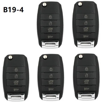 B19-4