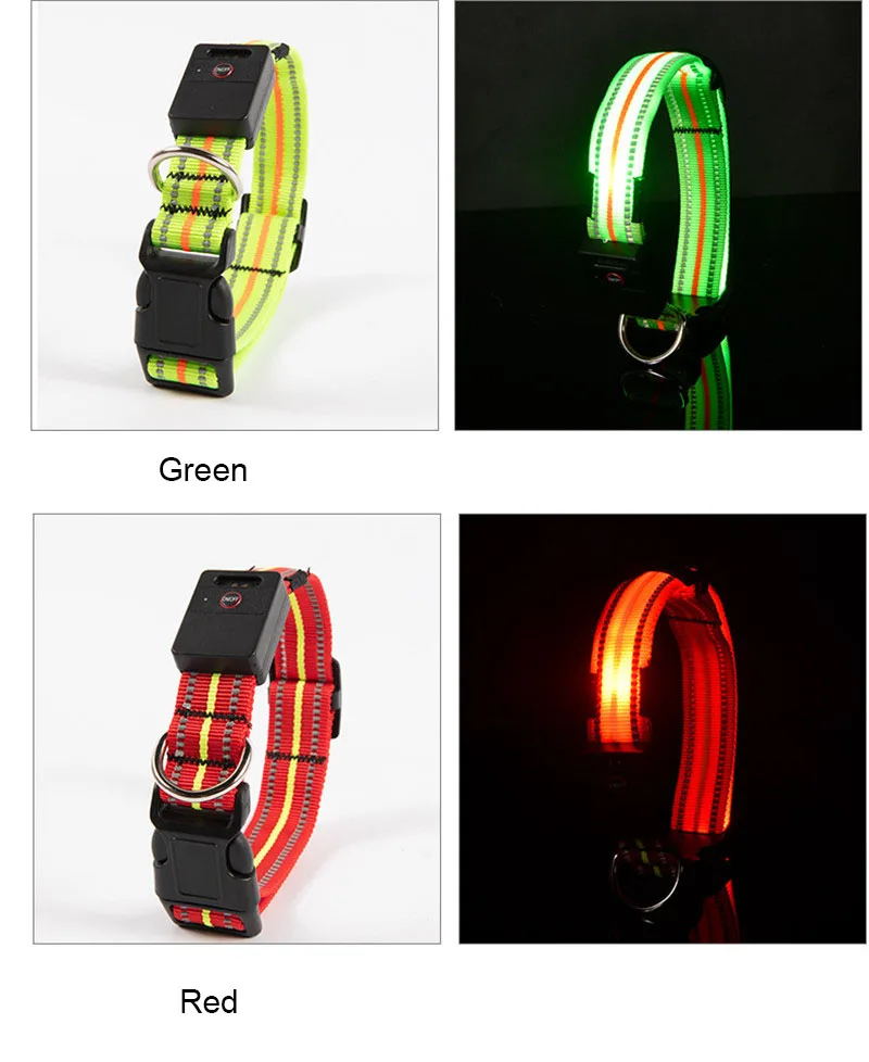 Dog Collar Luminous (9)
