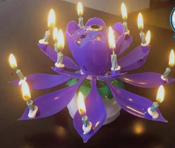 lotus birthday candle price