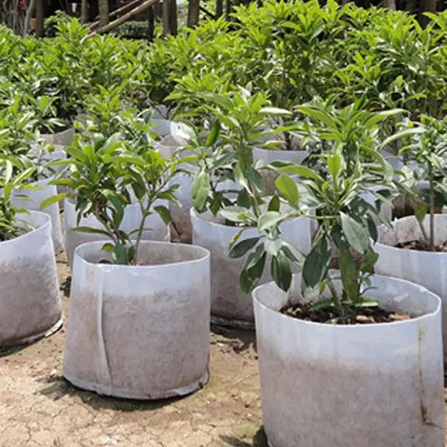 5 Size White Round Fabric Pots Plant Pouch Root Container Grow Bag 5 Size White Round Fabric Pots Plant Pouch Root Container Grow Bag Aeration Pot