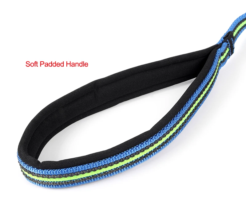 dog-leash-30308-b02