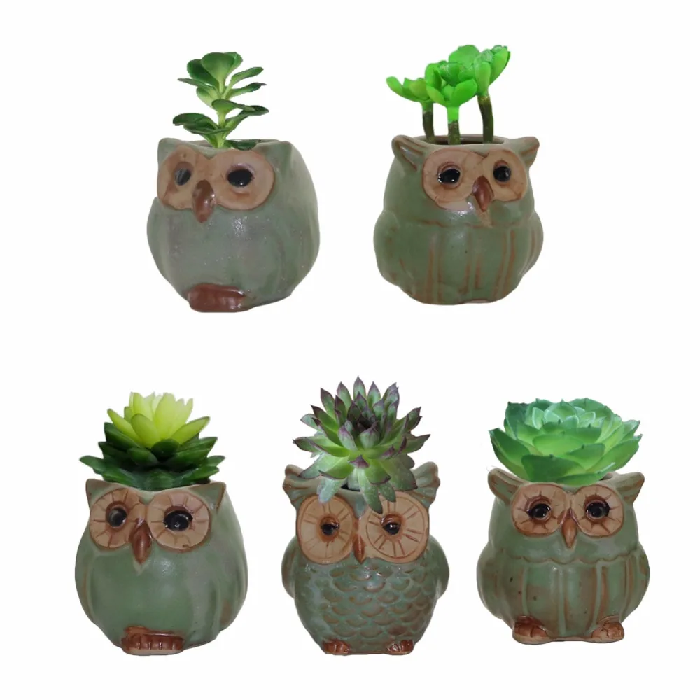 Creative potted owl shape a flower pots for bonsai meat plant garden pots planters home office