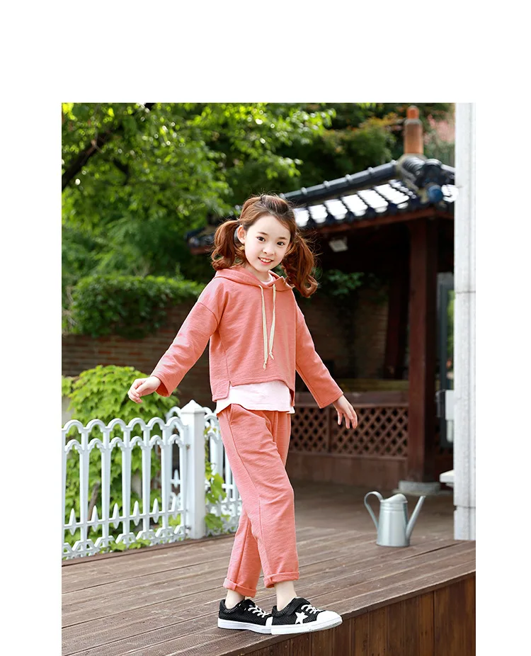 baby teenage girls clothing sets girl sport suits children clothing sets 2017 Brand New hooded kids clothes set hoody and pants  4 5 6 7 8 9 10 11 12 13 14  years old little big teenage girls tracksuits sets sports clothes  (23)