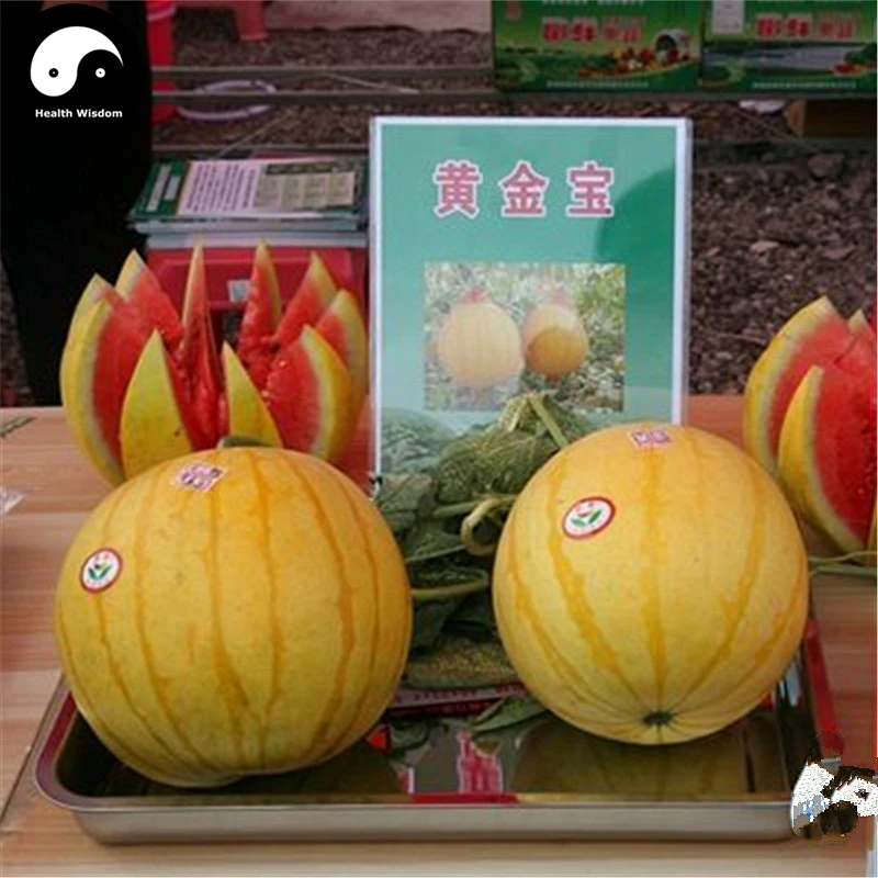 

Buy Watermelon Fruit Semente 100pcs Plant Citrullus Lanatus Yellow Skin Watermelon