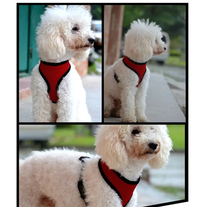 2019 New Strap Vest Adjustable Comfort Soft Breathable Dog Harness Pet Vest Rope Dog Chest Strap Leash Set Collar Leads #25D27 (9)