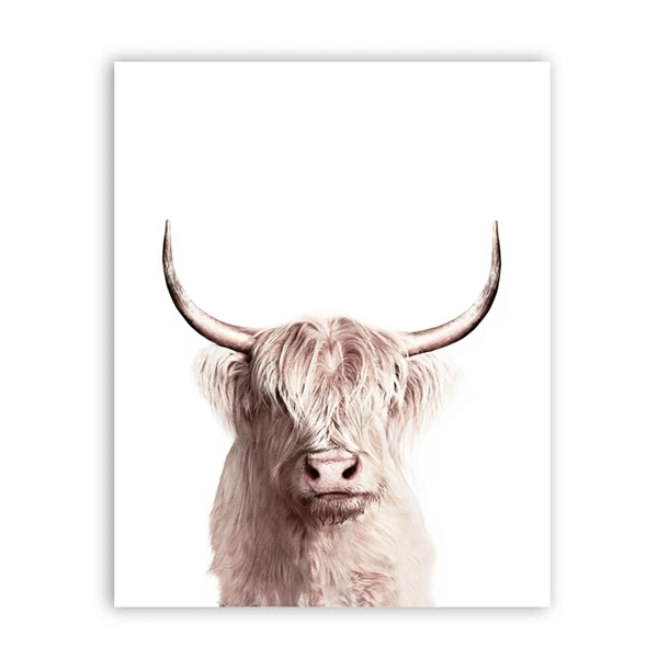 Animal-Buffalo-Poster-Canvas-Painting-Wall-Art-Decor-Bison-Art-Canvas-Print-Modern-Animals-Wall-Picture (2)
