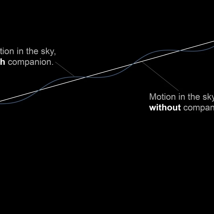 Comparison diagram showing the motion of stars with and without a companion Poster Print (32 x 24)