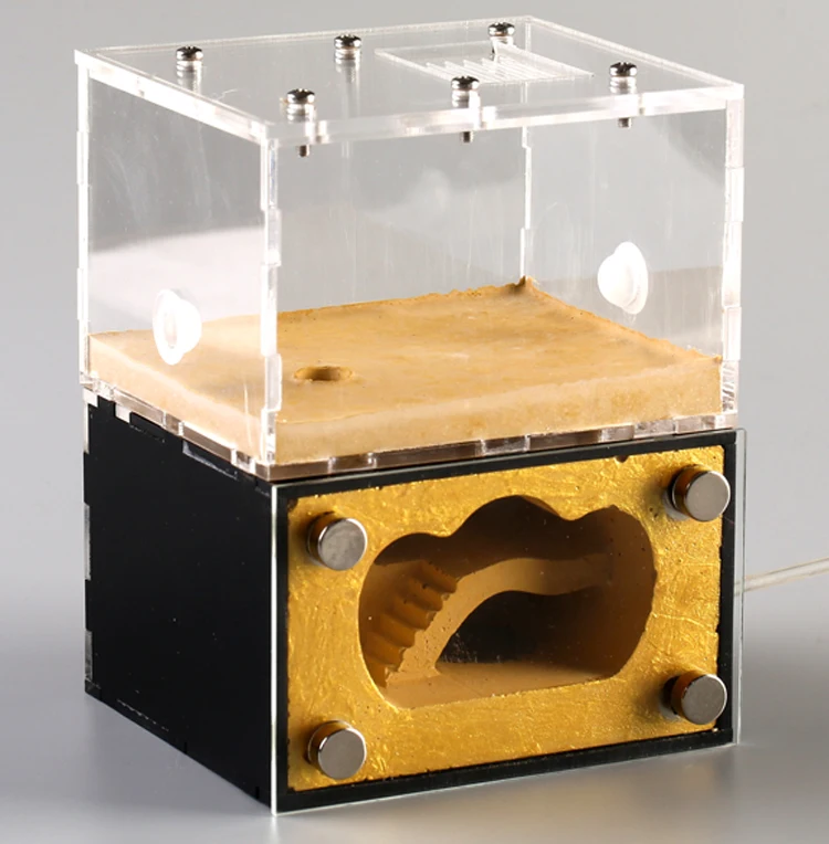 color-ant-nest (2)