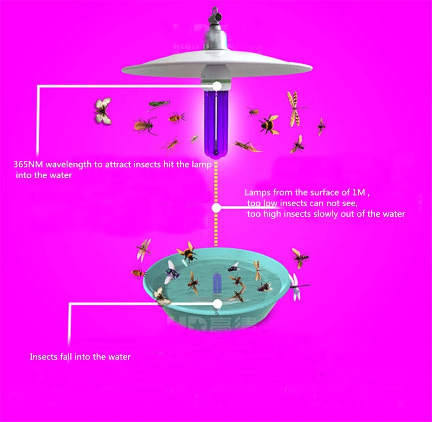 HTB1KcKdigMPMeJjy1Xdq6ysrXXa4