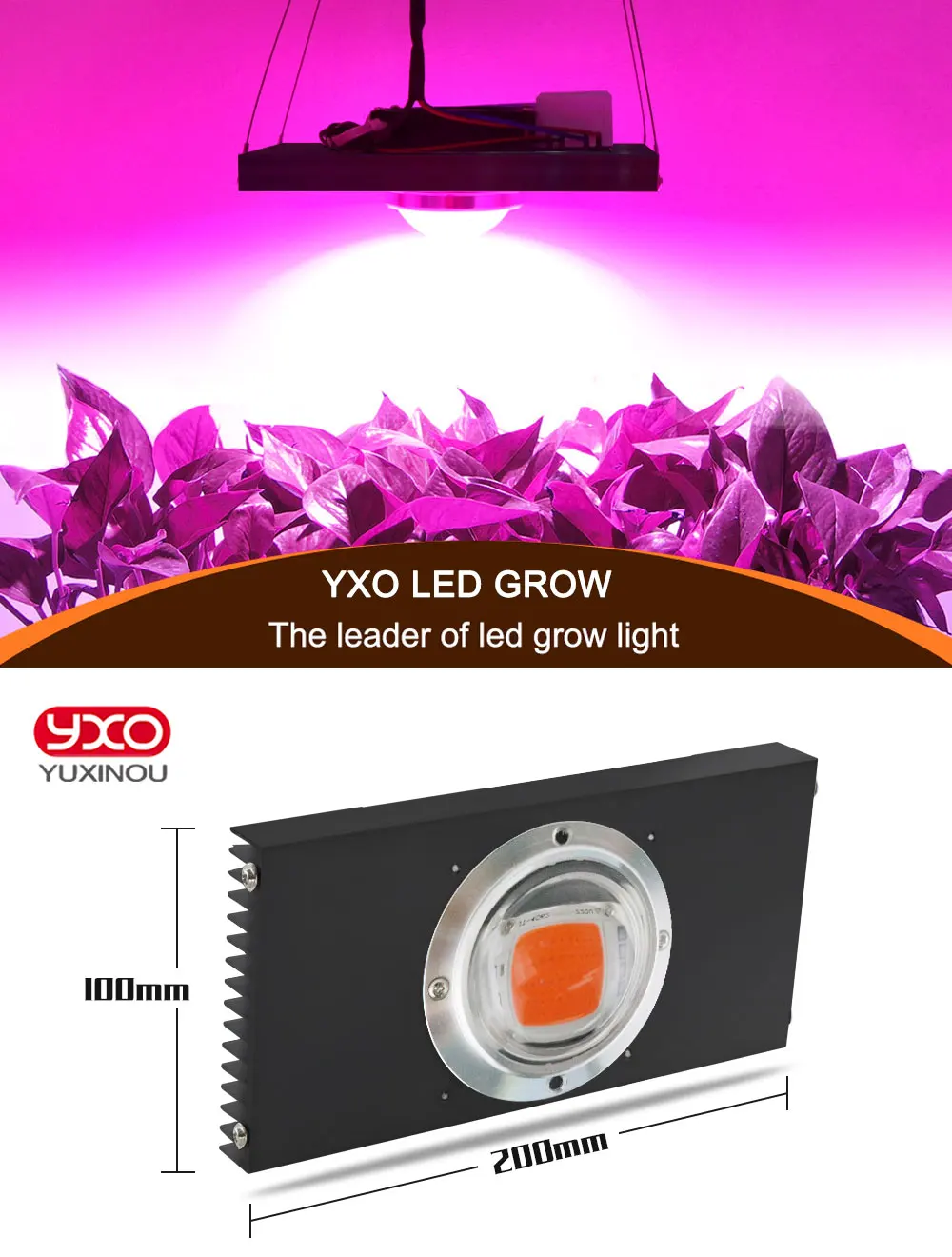 100 Вт 200 Вт 300 Вт 400 Вт COB светодиодный свет для выращивания всего спектра светодиодный светильник для выращивания овощей, цветов, крытая гидропонная теплица, растительный свет