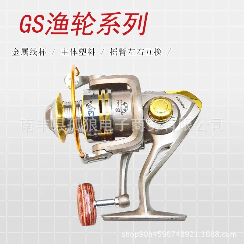  the main figure 1.jpg