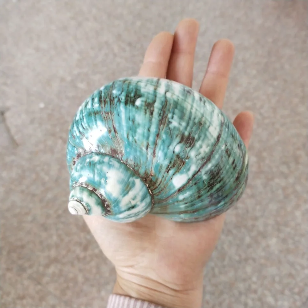 QQ20190407150354