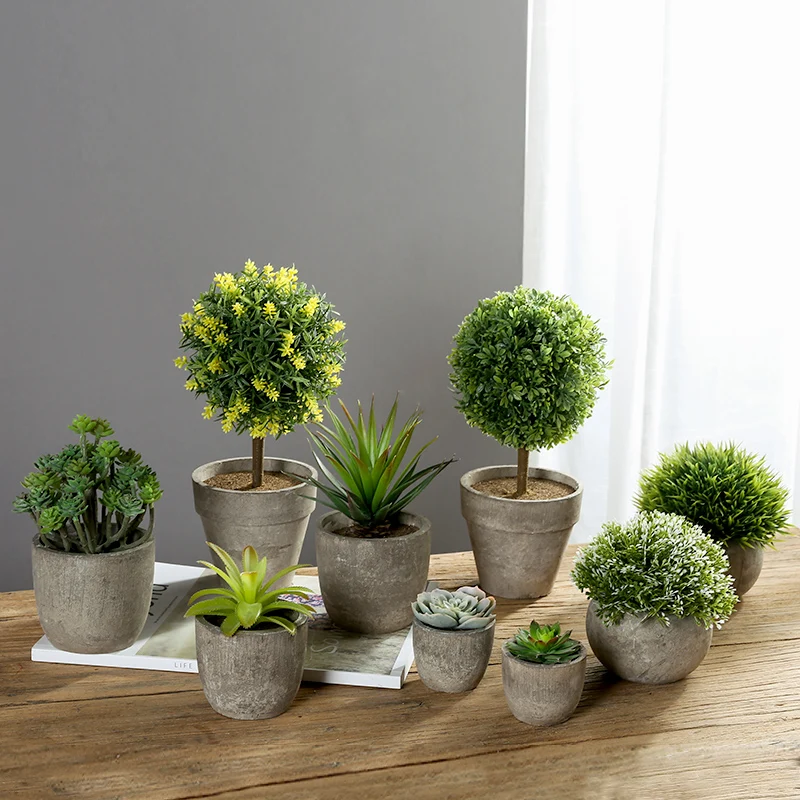 

Erythrina sea Mini Potted Artificial succulent plants Bonsai set fake Flower vase Decorative Flower Home Balcony Decoration