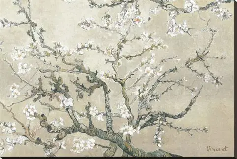 Бесплатная доставка белый цветочный принт на холсте маслом Печать wall art