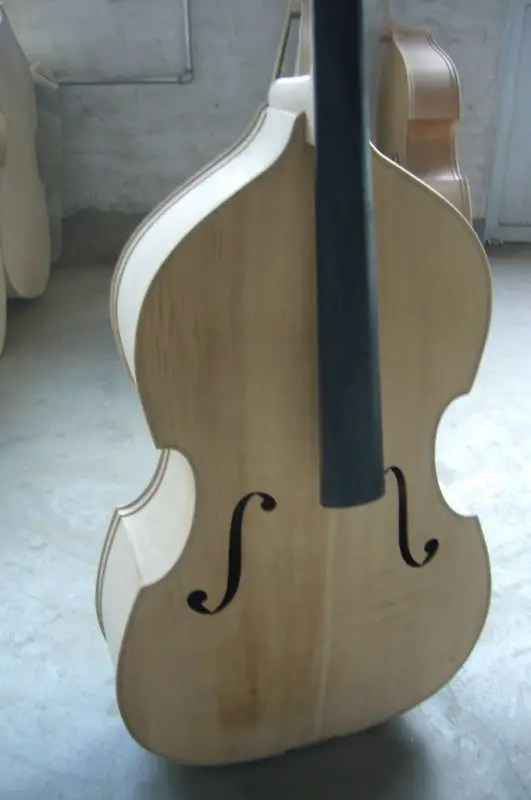 electric upright bass kit