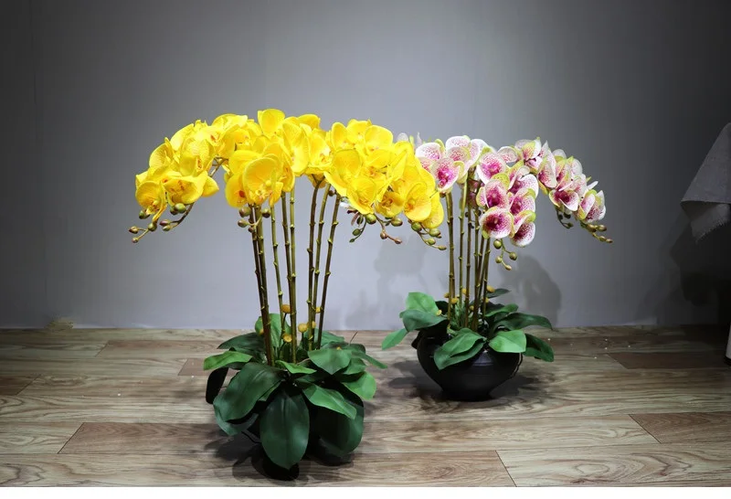 Индиго-3D фаленопсис белые орхидеи(7 цветов/стебель) Настоящее прикосновение цветок орхидеи свадебный цветок Цветочная вечеринка