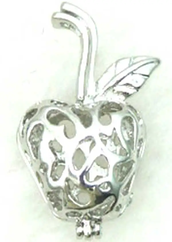 Qingmos Wish жемчужная Подарочная коробка 20 мм Сердце клетка Чокеры ожерелье для женщин с Oyster Love цепочка с жемчужным кулоном Ожерелье Colar-3622 - Окраска металла: Apple