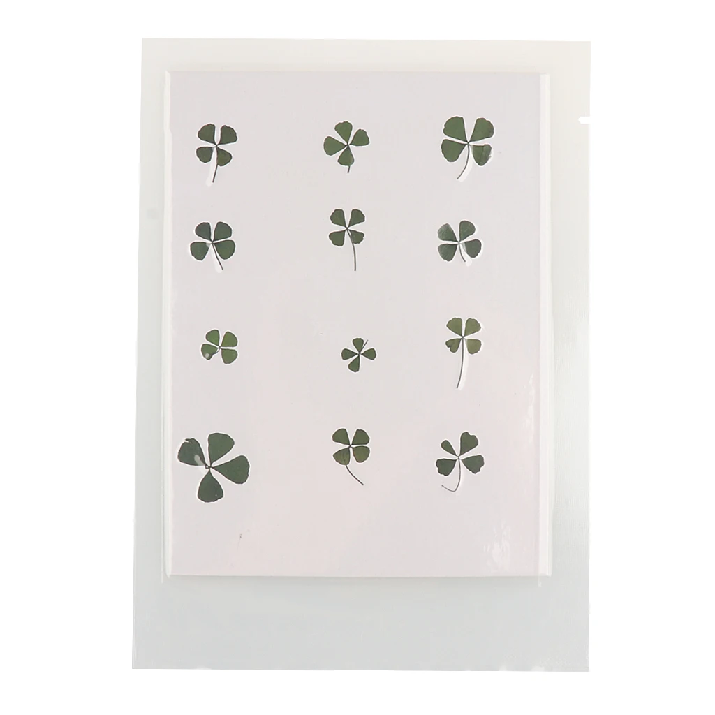 

Pack of 12 Real Pressed Leaves Flower For Card Making & Floral Arranging DIY Artificial Decorations Embellish Scrapbooks