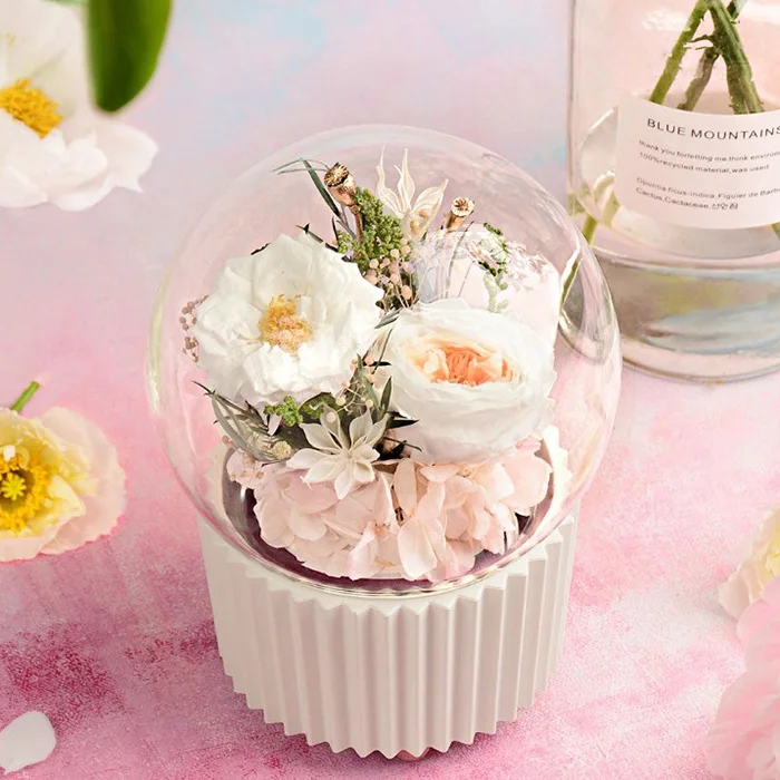 

Original Xiaomi youpin Creative Everlasting Flower Music Box
