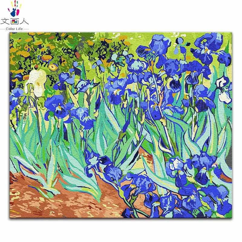 Картина «сделай сам» по номерам картины Винсента Ван Гога «Звездная ночь» Абстрактные Художественные картины по номерам с цветами - Цвет: 60041 iris 1