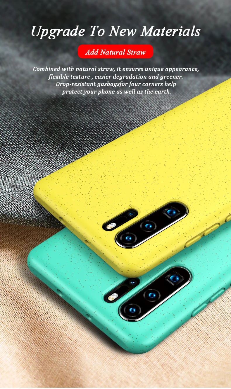 Huawei P30 Pro Case (1)