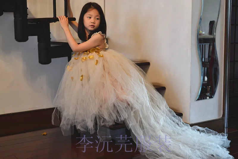 

Western Style Wedding Show Girls Princess Dress Princess Champagne Gold Flower Kids Party Clothing