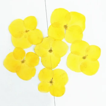 

The Flowers Yellow Hydrangea Dried Flower Candles wholesale free shipment 1 pack / 10bags(120pcs)