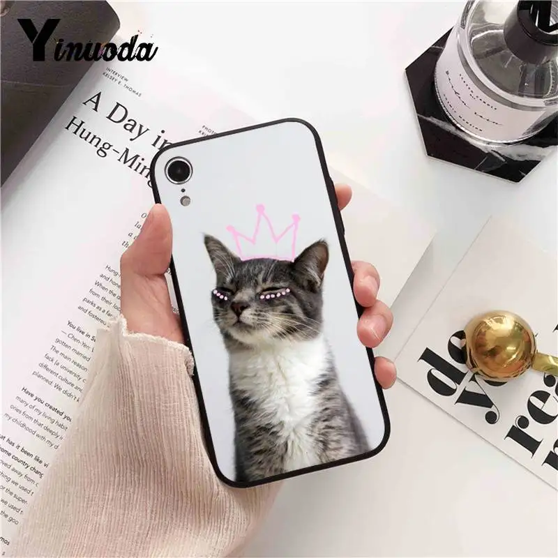 Candy Color Cat Cases lovely Planet