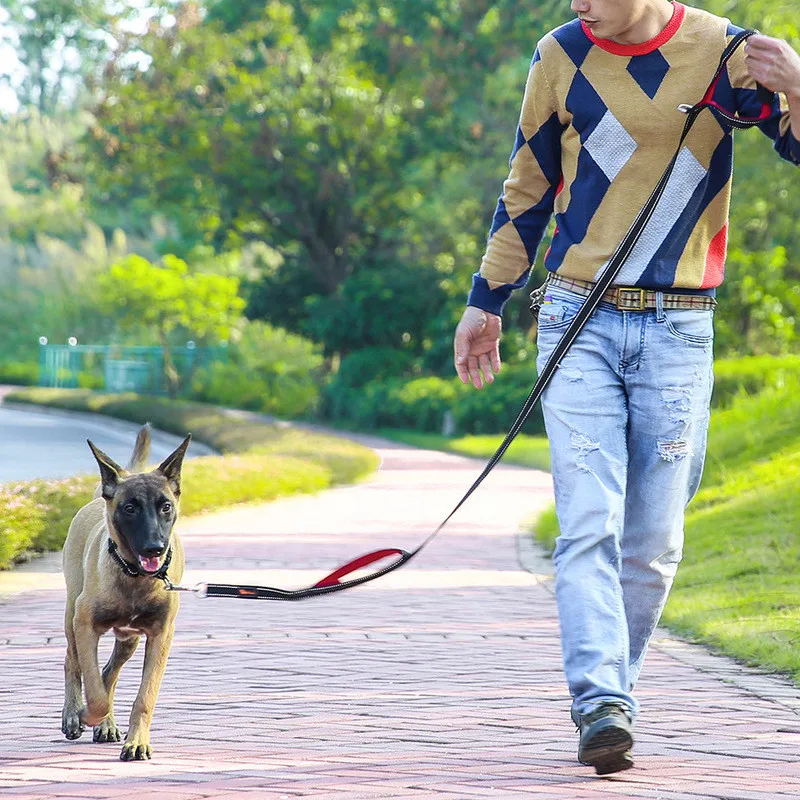 leash for dog (7)