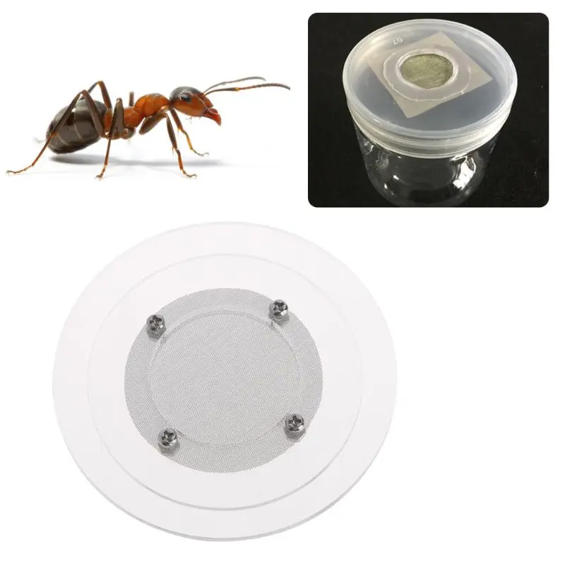 

Ant Farm Cover Round Breathable Nest Pet Habitat Home House Cap Prevent Escape Anti Escaping Supplies Acrylic Stainless Steel