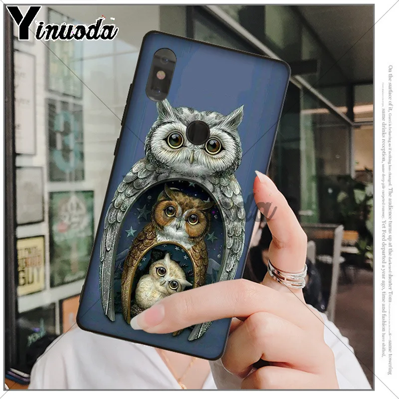 Animal Night Owl 