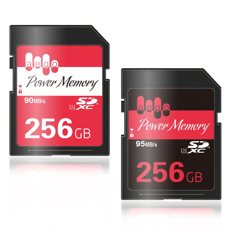 Buy AEGO SD Card 256GB UHS 1 Real Capacity Memory Card