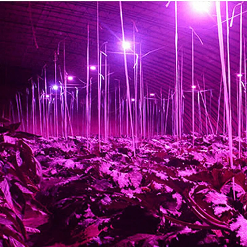 Levou Crescer Luzes planta hidropônica crescer Tipo de Ítem : Grow Lights