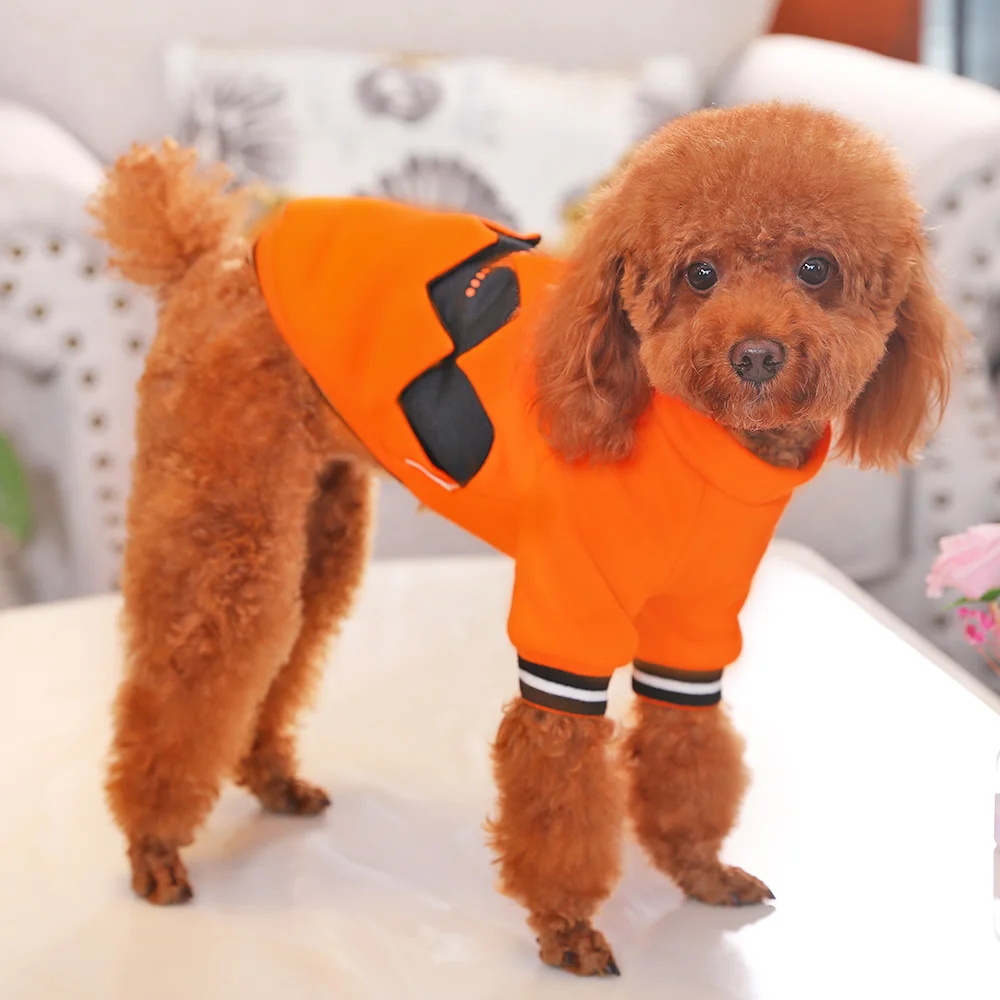 HOOPET Pet Clothes for Dogs Puppy Clothing Winter Coat Costumes Jacket Small Dogs Chihuahua 