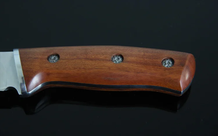 3104229584_620291727