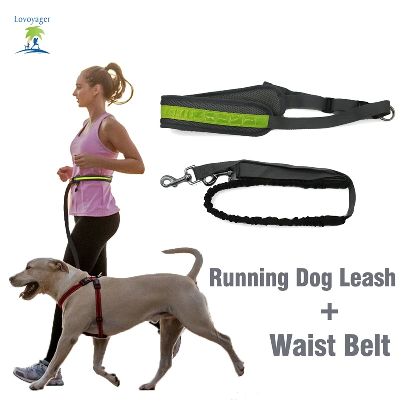 Hands Free Dog Leash Florescent Light Pasový pás pro běh Pěší turistika Elastické Bungee Psí vodítko s nastavitelným pásem