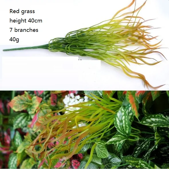 Red grass