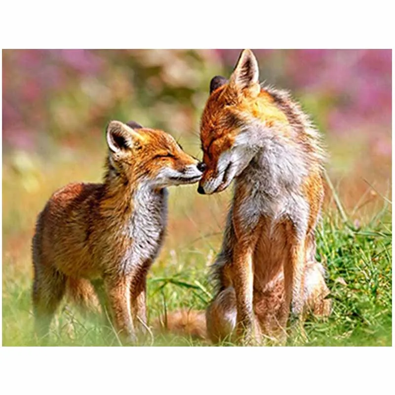 

5D DIY Diamond Painting Full Square/Round Drill "fox" Diamond Embroidery Cross Stitch 5D diamond painting accessories A75