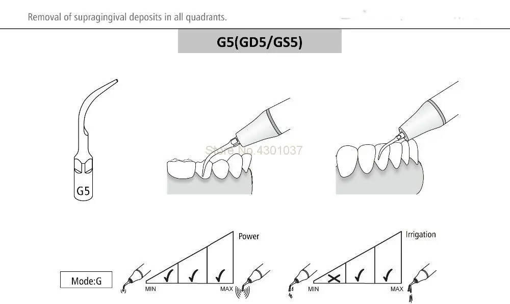 GS5_1
