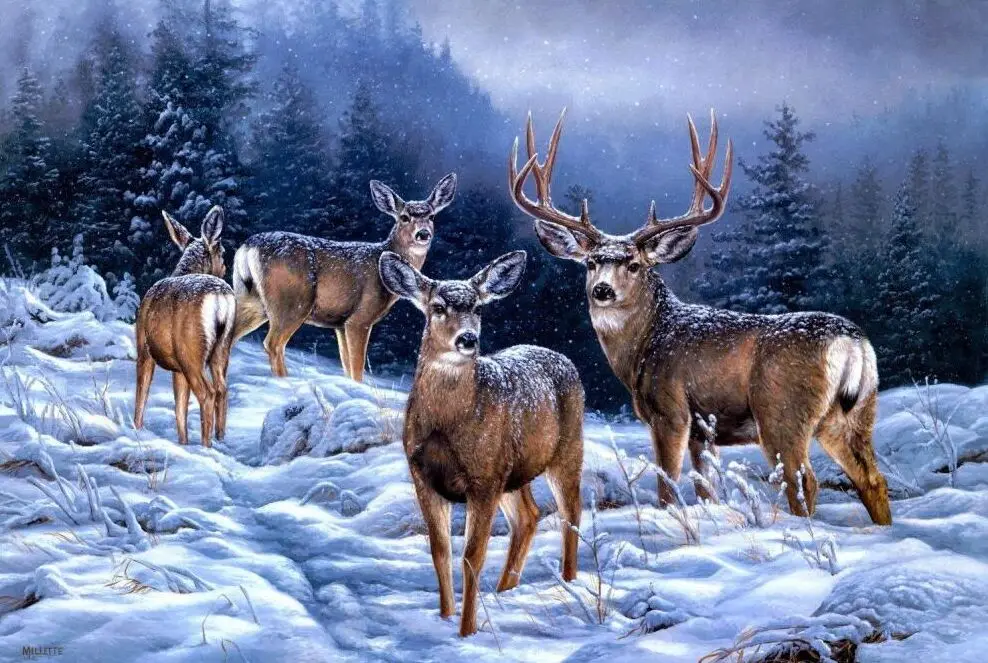

Elk in the snow The wooden puzzle 1000 pieces ersion jigsaw puzzle white card adult children's educational toys