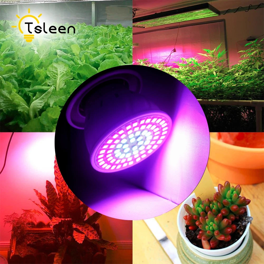 TSLEEN 8Pcs E27 E26 Led Grow Light Red Blue Led Growing ...