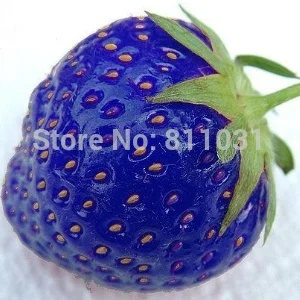 Hot selling 100pcs/bag blue strawberry rare fruit vegetable seed bonsai plant home garden free shipping