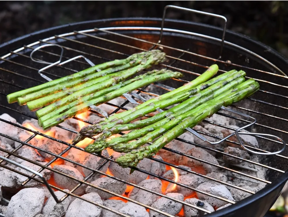 stainless steel double wide skewers (3)