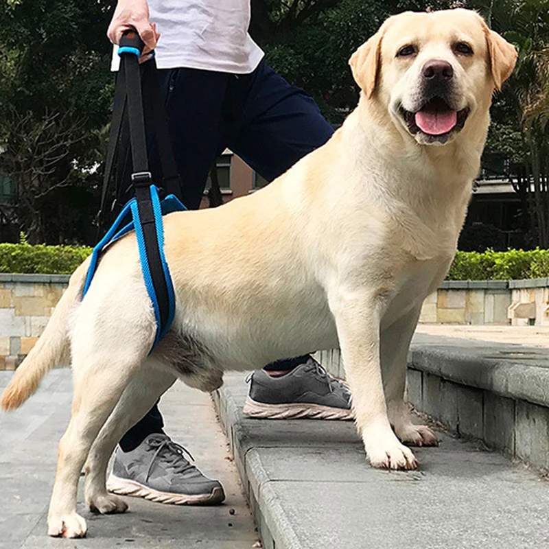 New Pet Leg Straps Walking Bracket Dog Leg Belts Hind Legs Support Harness with Assist Sling for Old Injured Dogs