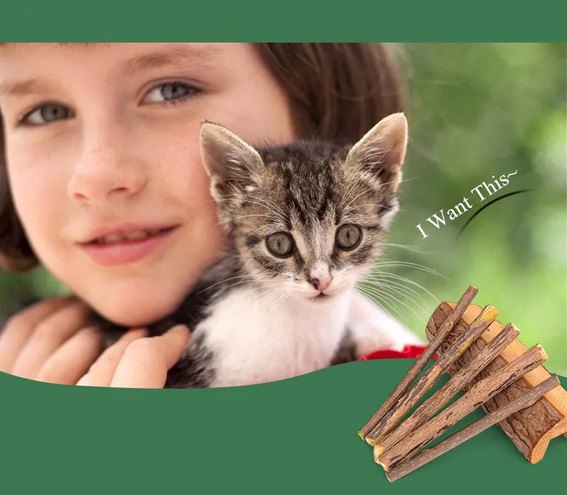5PCS Cat Chew Toys Silvervine Matatabi Refreshing Natural Catnip Cat Snacks Sticks for Cat Teeth Cleaning  (3)