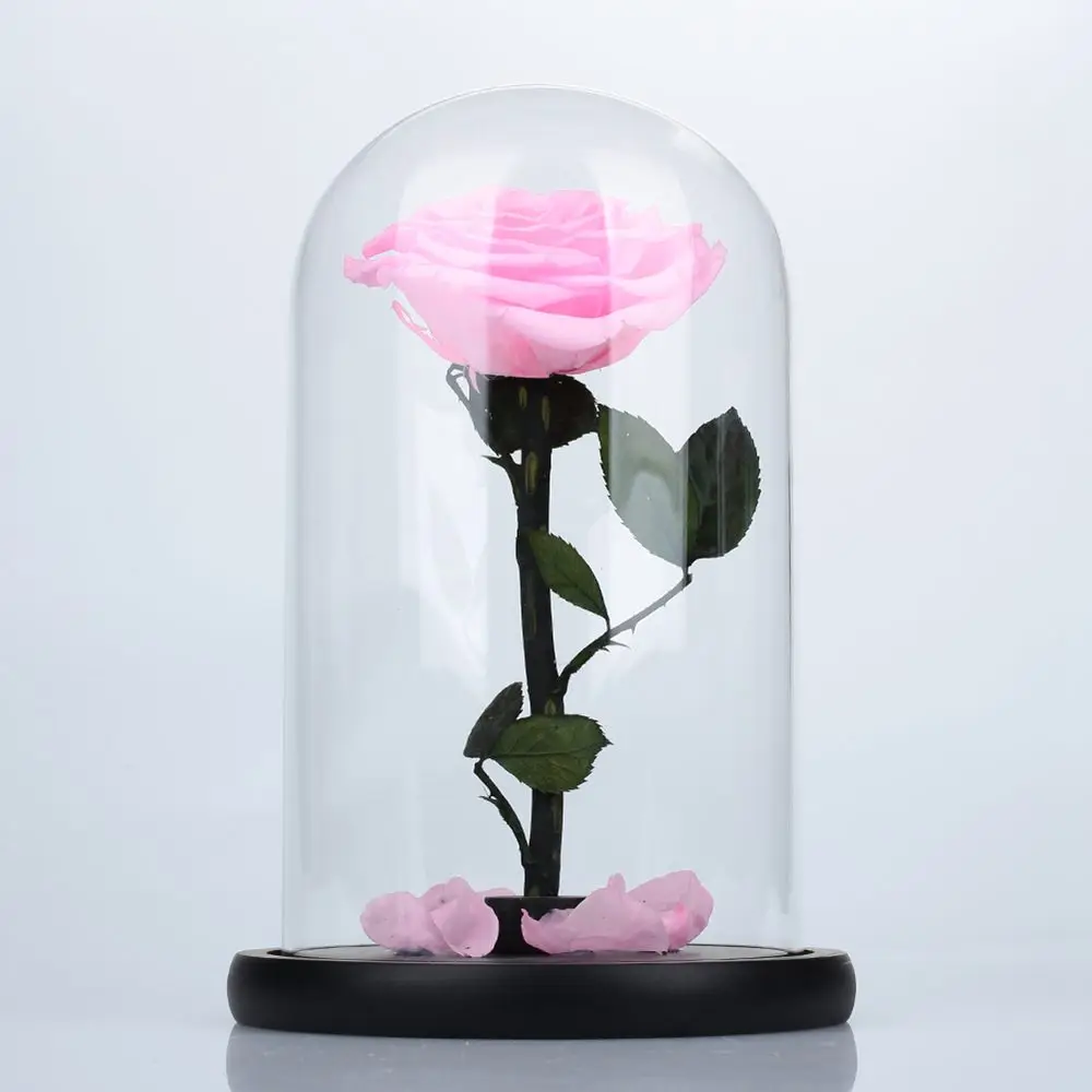 431254_7edf4409d10b4db38287d3644f7c6a88