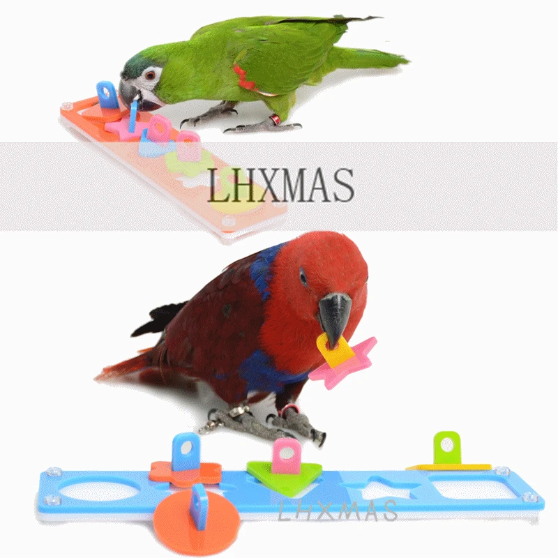 jukbeen Articulatie Concurrenten Milieuvriendelijke Acryl Papegaai Speelgoed Voor Training Spelen Puzzel  Educatief Vogel Producten D410|parrot toys|acrylic parrot toystoys for  parrots - AliExpress